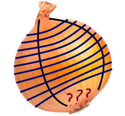 illustrated onion slices
